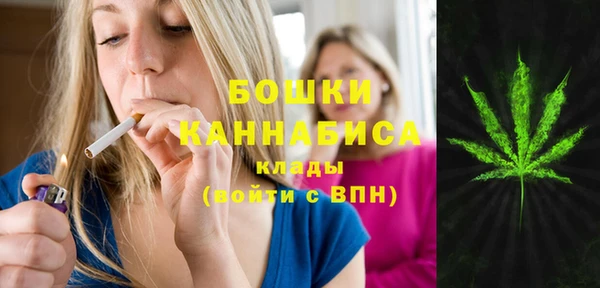 2c-b Бородино
