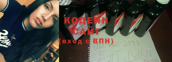 2c-b Бородино