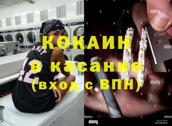 гидра Бронницы