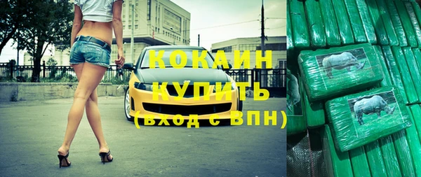 гидра Бронницы