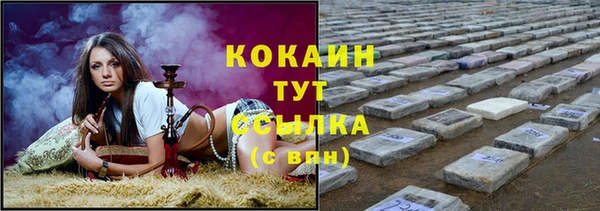 гидра Бронницы
