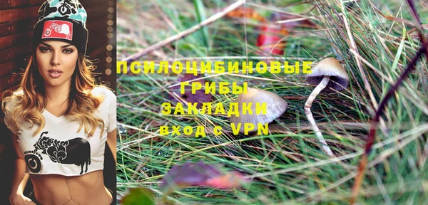 2c-b Бородино