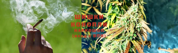 гидра Бронницы