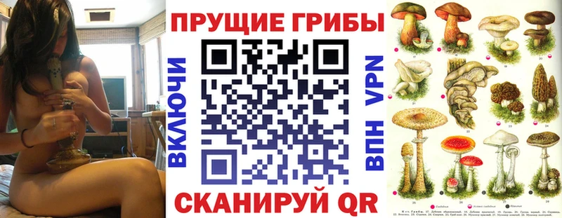 Псилоцибиновые грибы GOLDEN TEACHER  сколько стоит  Тула 